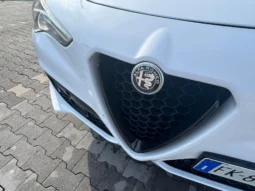 
										Alfa Romeo STELVIO 2.2 210cv Q4 completo									