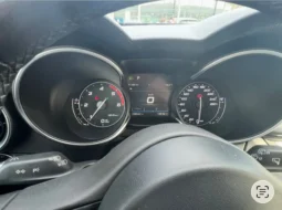 
										Alfa Romeo STELVIO 2.2 210cv Q4 completo									